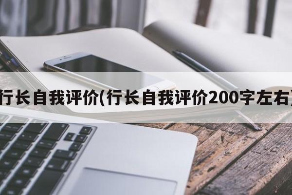 行长自我评价(行长自我评价200字左右)